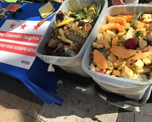 NOSHING ON Arlington Farmer's Market